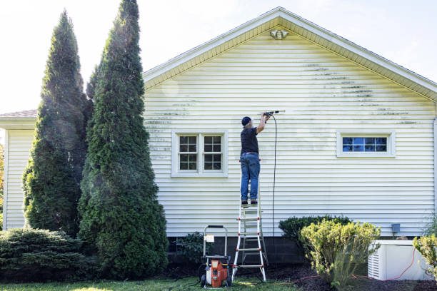 Pre-Holiday Cleaning in Breckenridge, MI